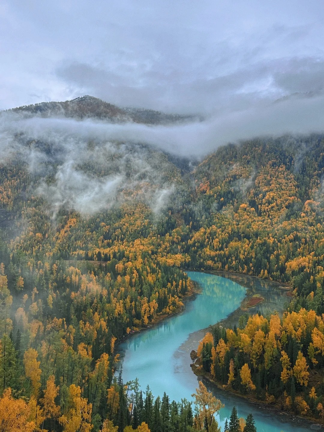 🍂喀纳斯的秋景 值得冲！🏔️_2_艾拉很i_喀纳斯-来自52tours 我爱旅游网